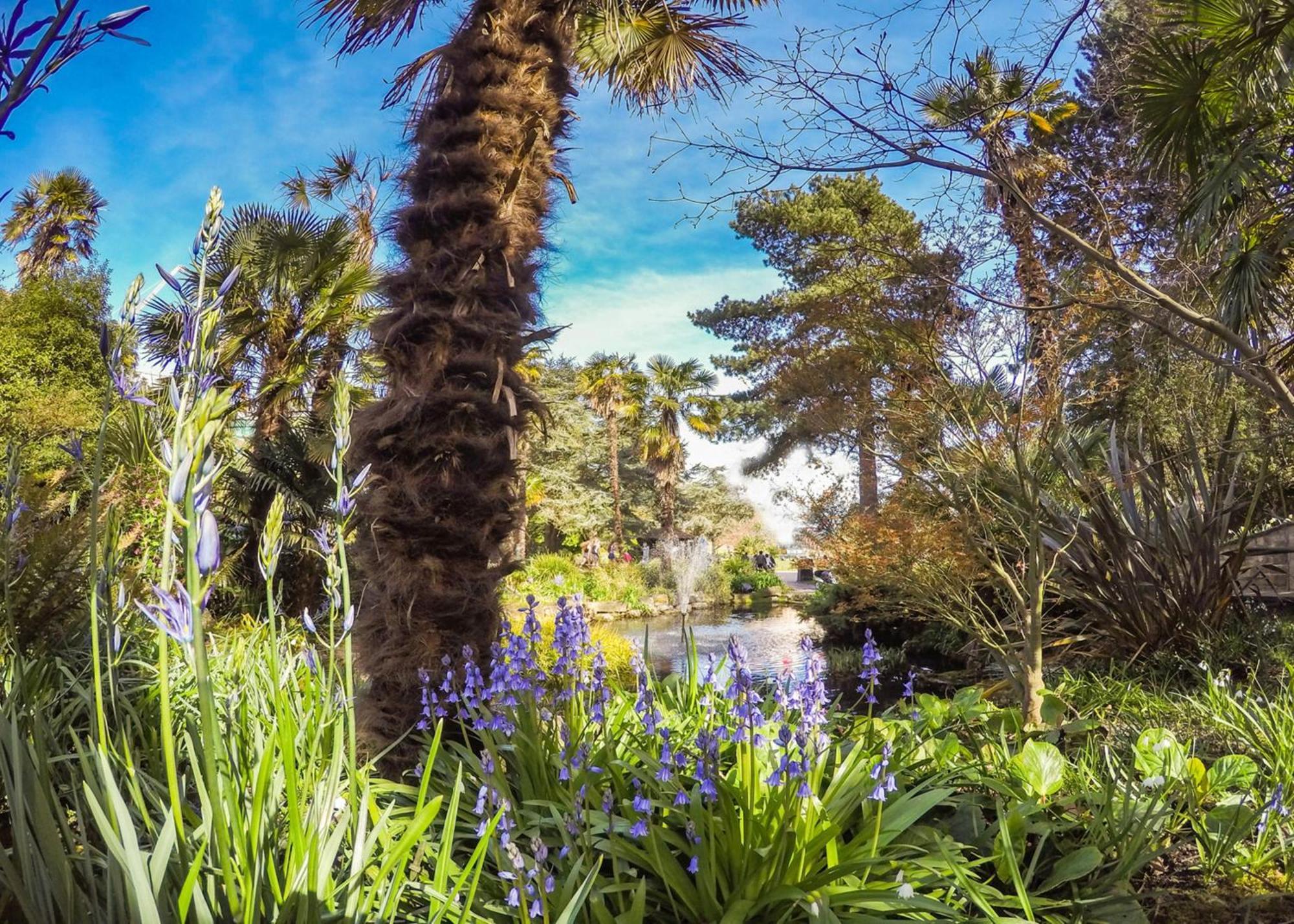 Bournecoast - Clifftop Apartment With Garden -Fm827 Борнмут Экстерьер фото