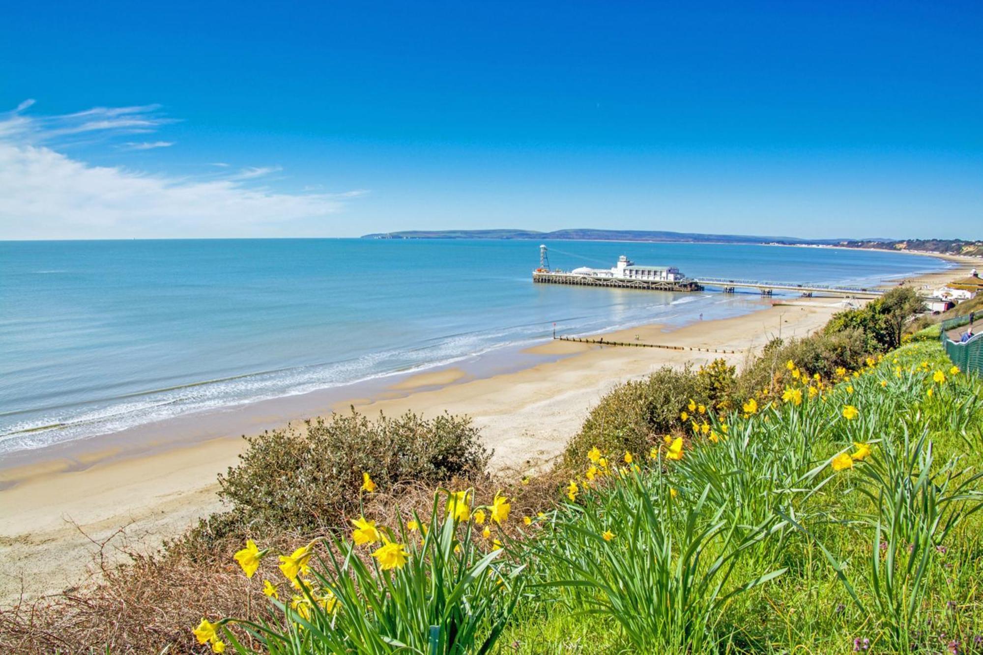 Bournecoast - Clifftop Apartment With Garden -Fm827 Борнмут Экстерьер фото